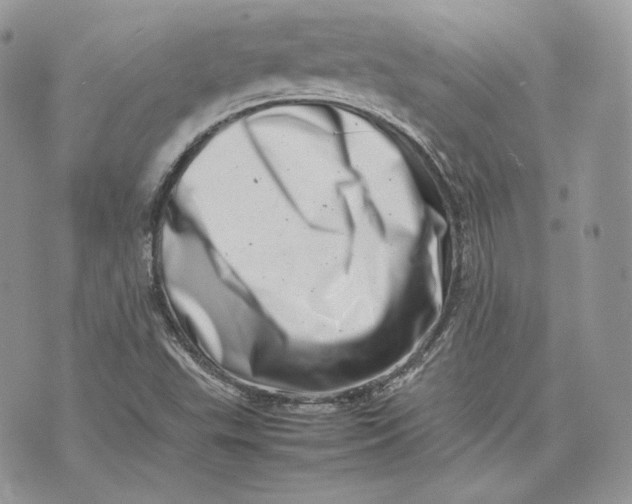 X0000075361503200609291448