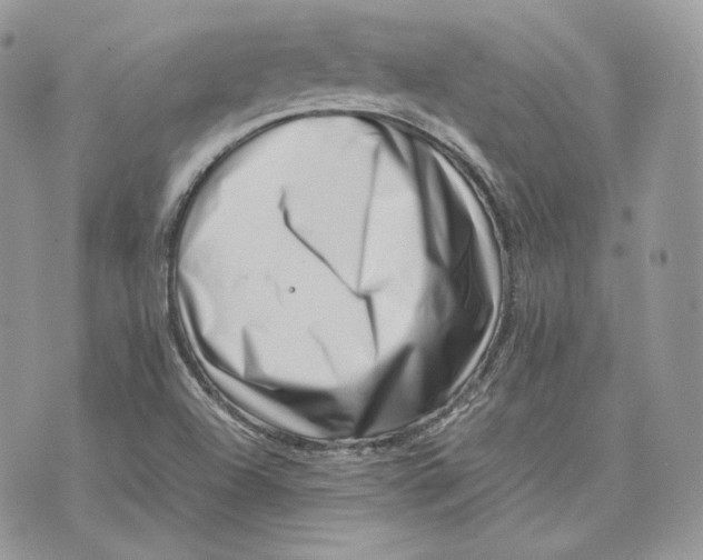 X0000075361504200609291448