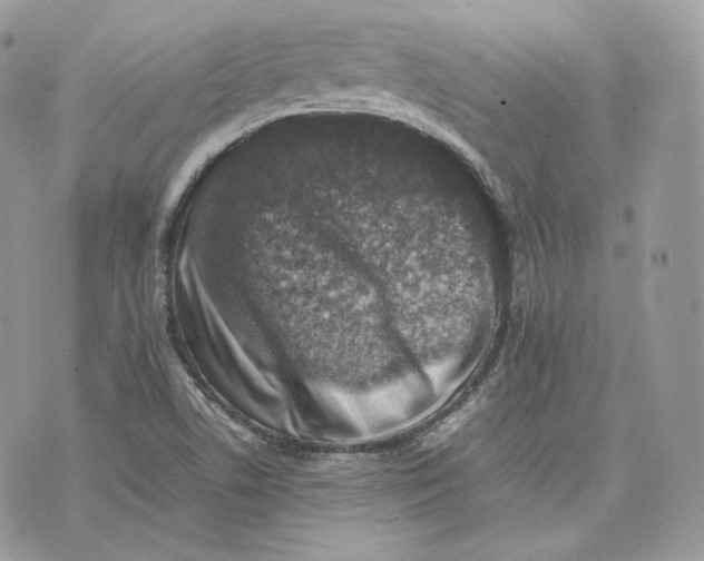 X0000075361506200609291448