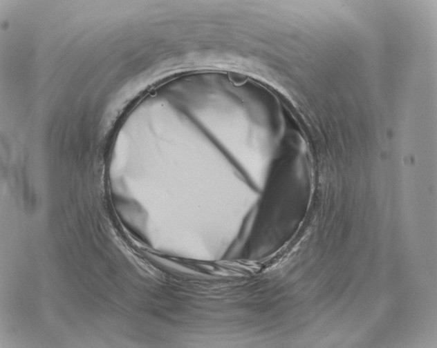 X0000075361507200609291448