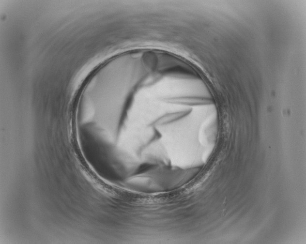 X0000075361511200609291448