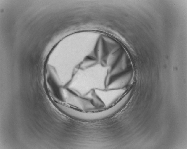 X0000075361512200609291448