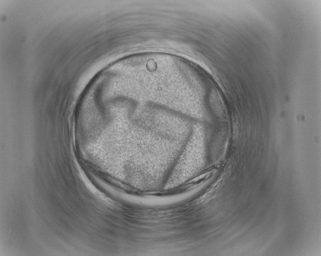 X0000075361515200609291448