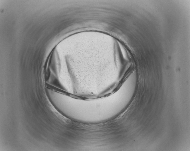 X0000075361516200609291448