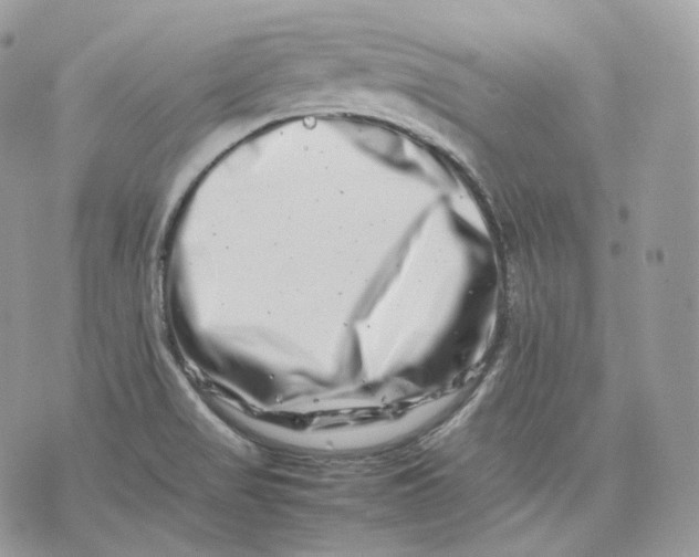 X0000075361517200609291448