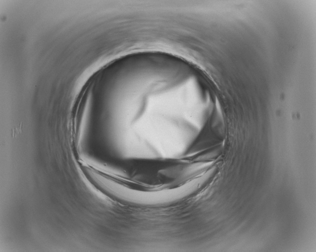 X0000075361519200609291448