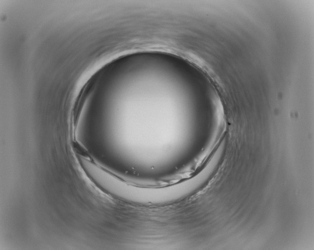 X0000075361520200609291448