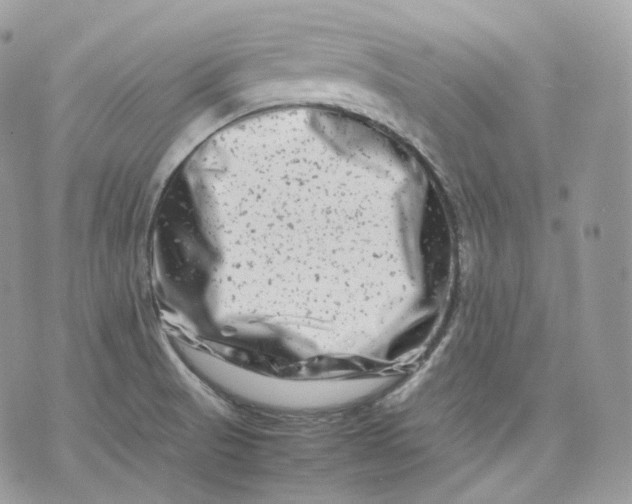 X0000075361521200609291448