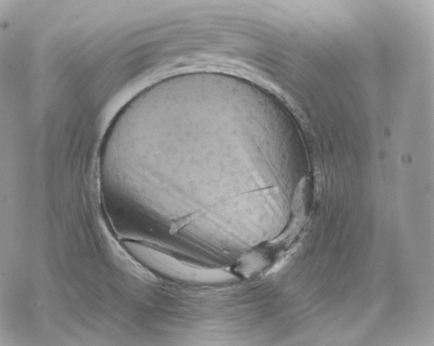 X0000075361522200609291448