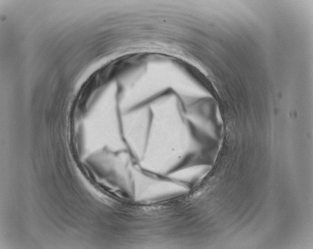 X0000075361523200609291448