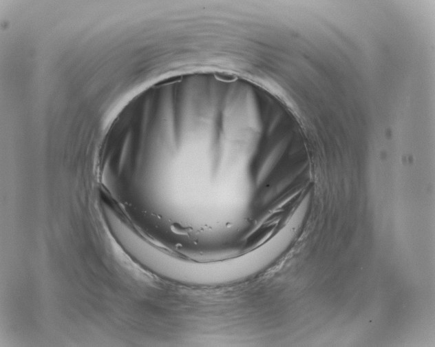 X0000075361524200609291448