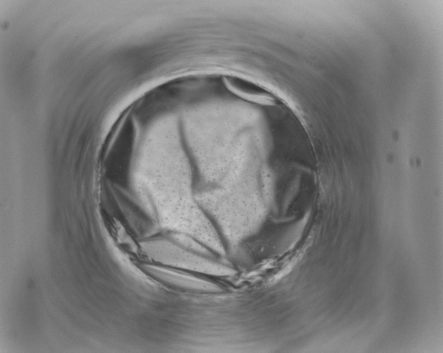 X0000075361526200609291448