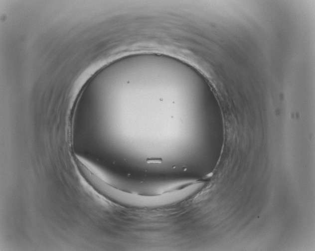 X0000075361527200609291448