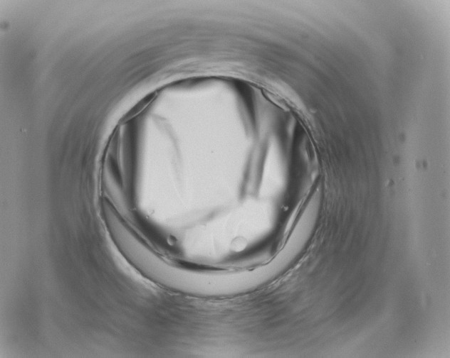 X0000075361528200609291448