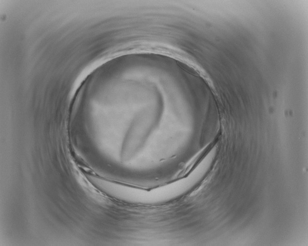 X0000075361530200609291448