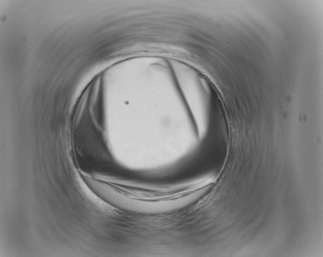 X0000075361531200609291448