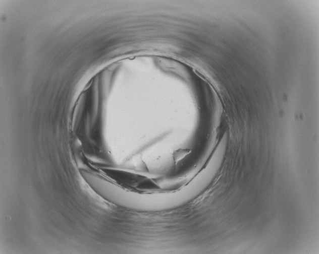 X0000075361532200609291448