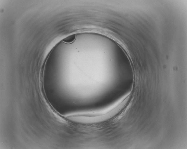 X0000075361533200609291448