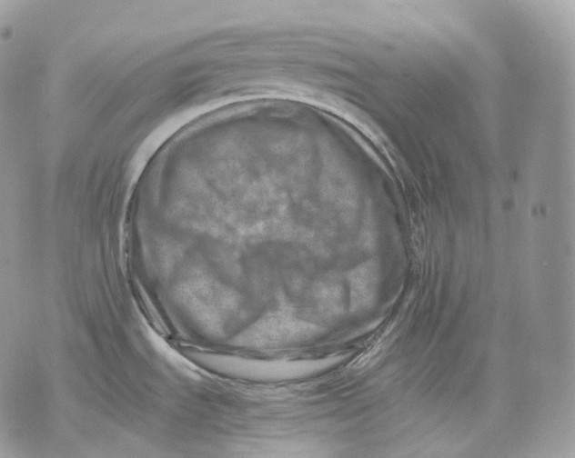 X0000075361535200609291448