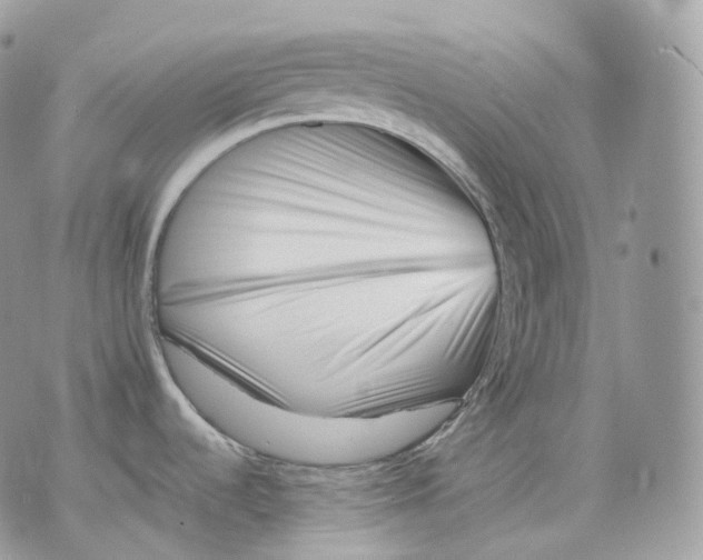 X0000075361536200609291448