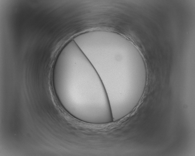 X0000075360001200610061759