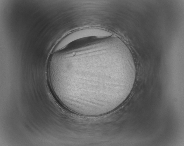 X0000075360002200610061759