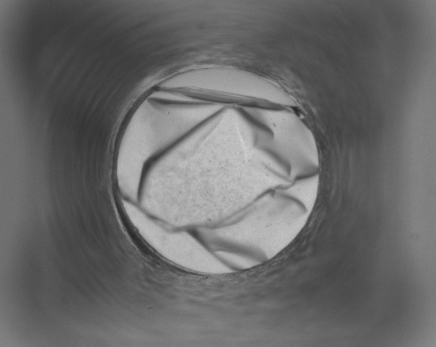 X0000075360003200610061759