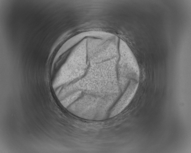 X0000075360004200610061759