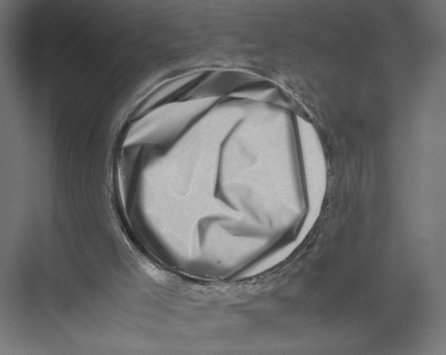 X0000075360005200610061759