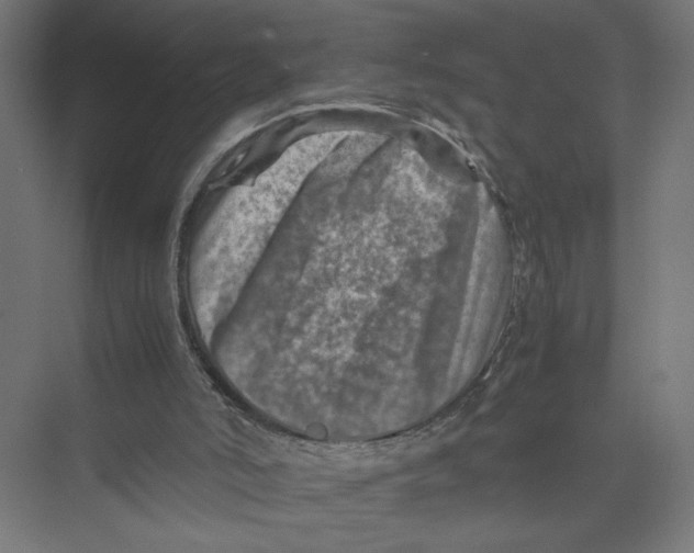 X0000075360006200610061759