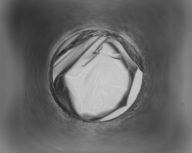 X0000075360007200610061759