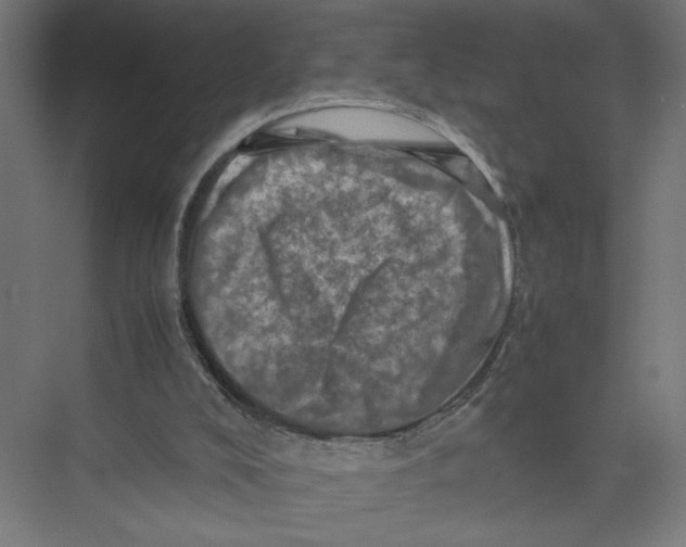 X0000075360008200610061759