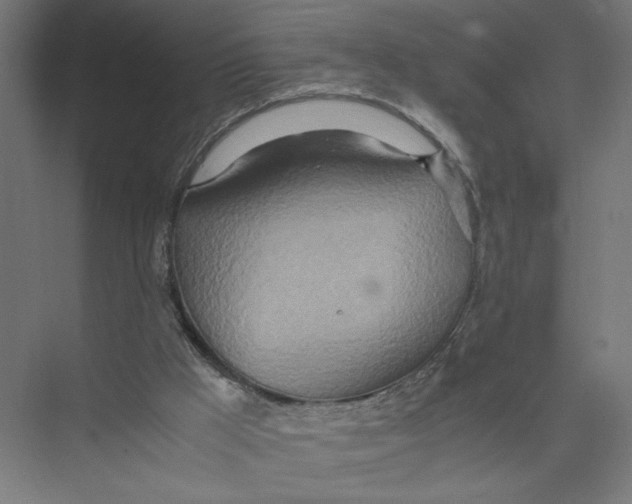 X0000075360009200610061759