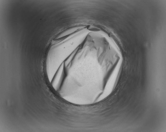 X0000075360010200610061759