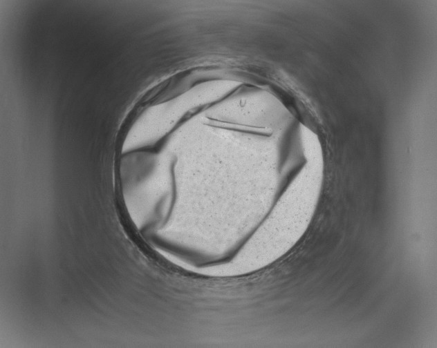 X0000075360011200610061759