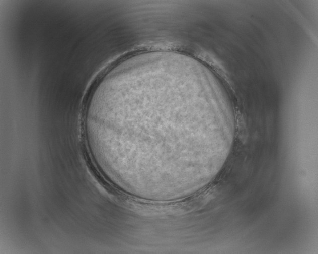 X0000075360012200610061758