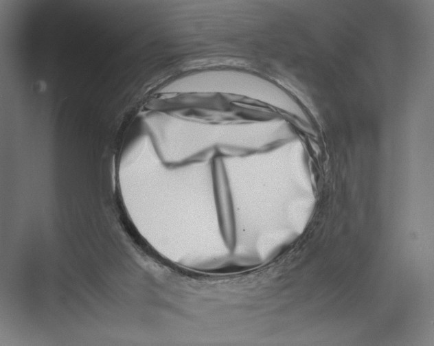 X0000075360013200610061758