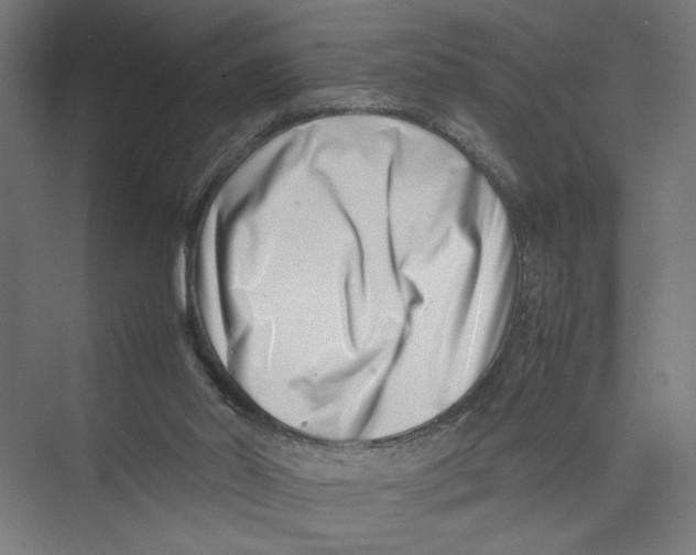 X0000075360014200610061758