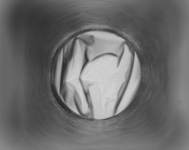 X0000075360015200610061758