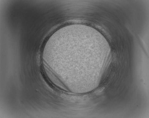 X0000075360016200610061758