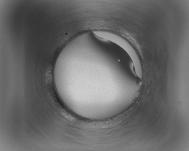 X0000075360017200610061758