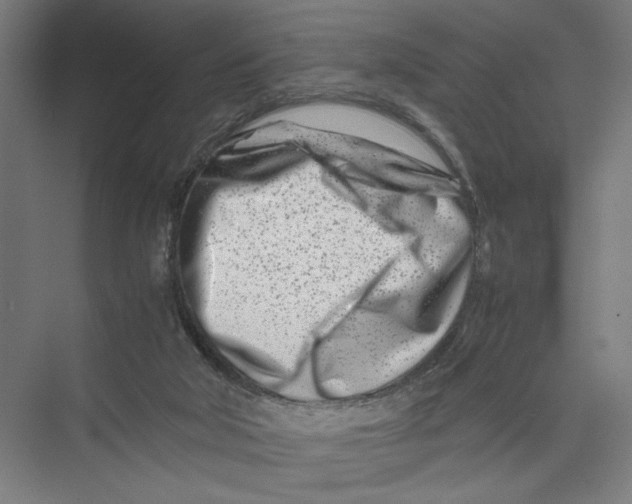 X0000075360018200610061758