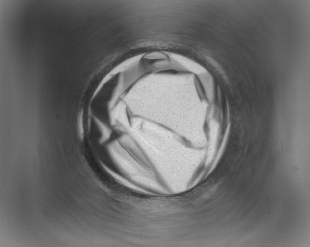 X0000075360020200610061758