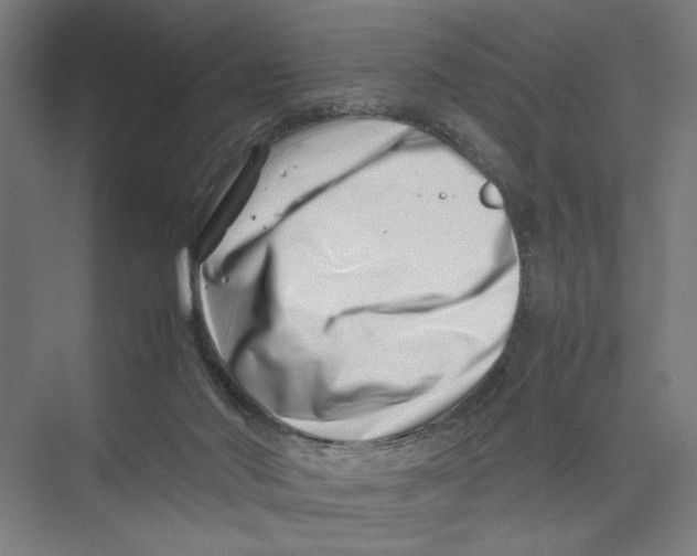 X0000075360022200610061758