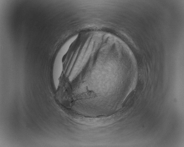 X0000075360023200610061758