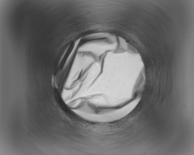 X0000075360024200610061758