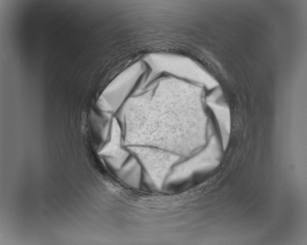 X0000075360025200610061758