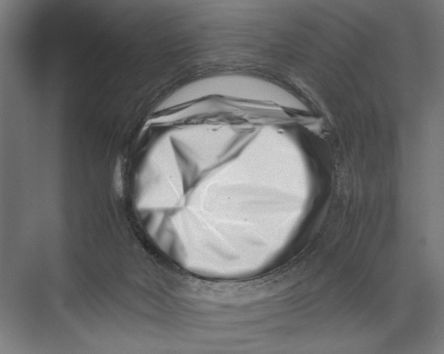 X0000075360026200610061758