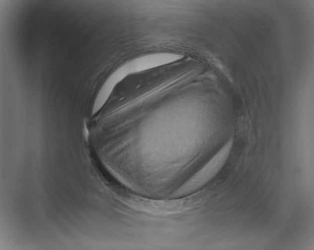 X0000075360027200610061758