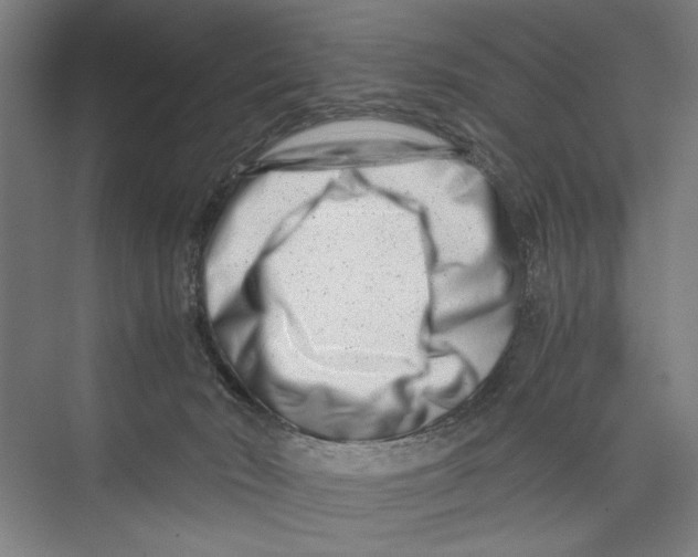 X0000075360030200610061758